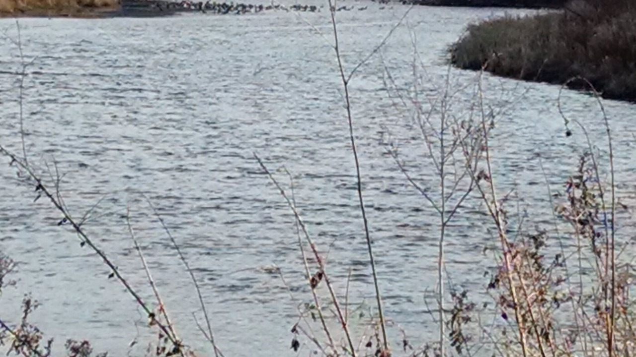 Photo of Others in Pine Island