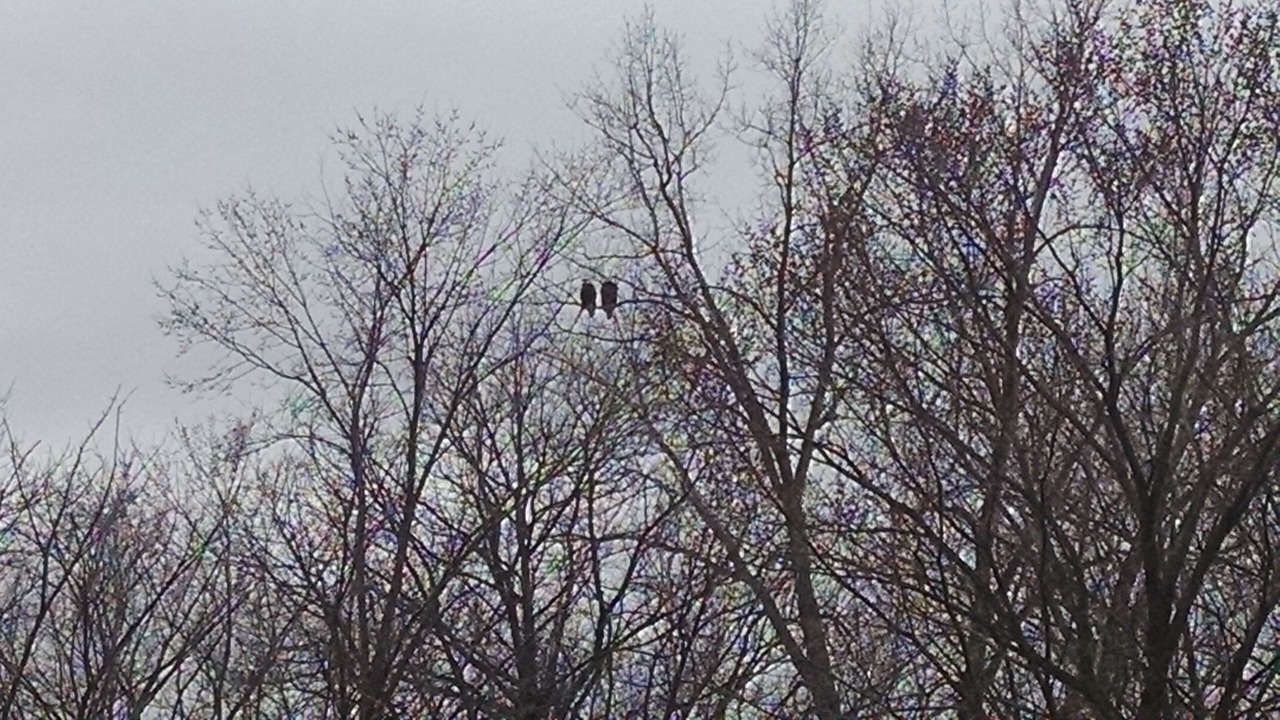 Photo of Outdoor in Pine Island