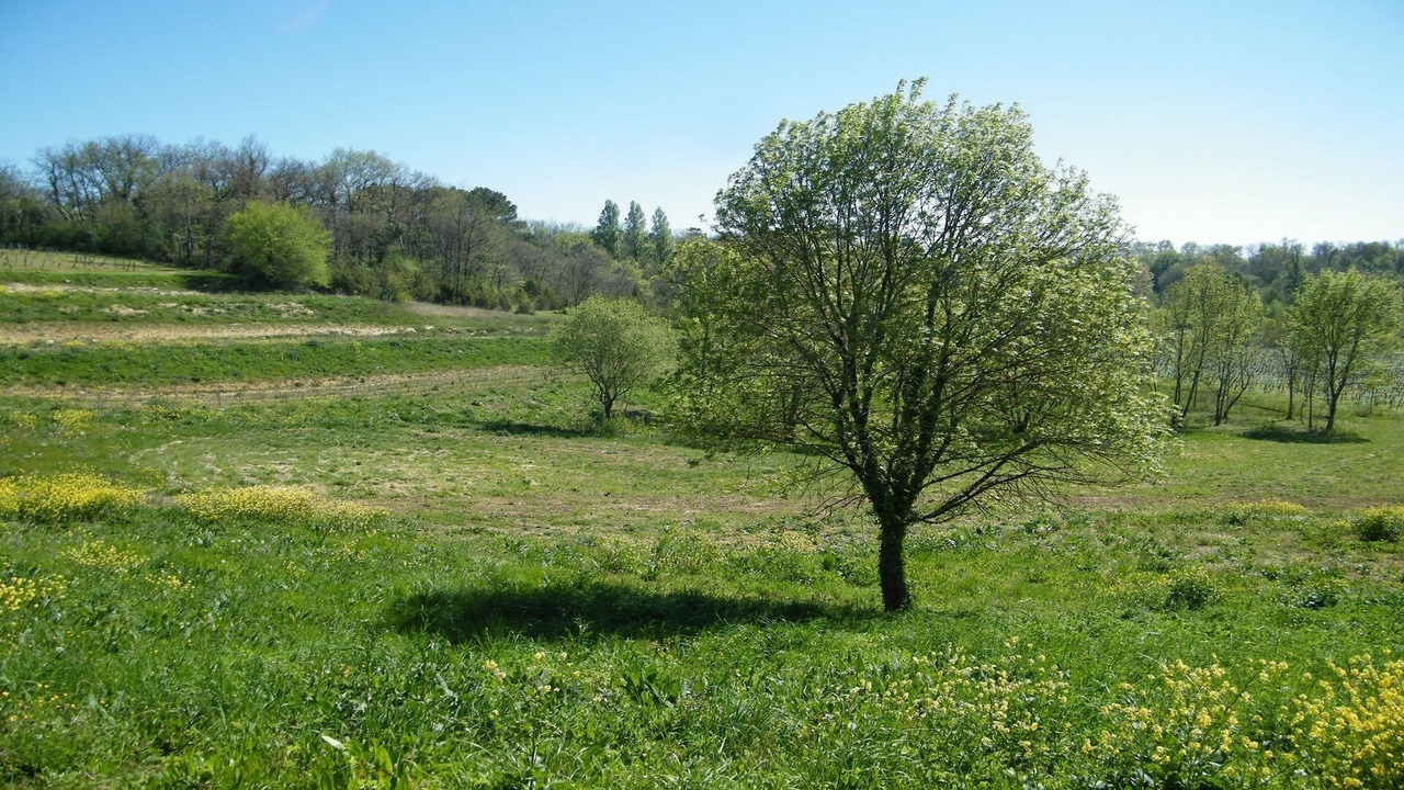 Photo of Others in Puisseguin