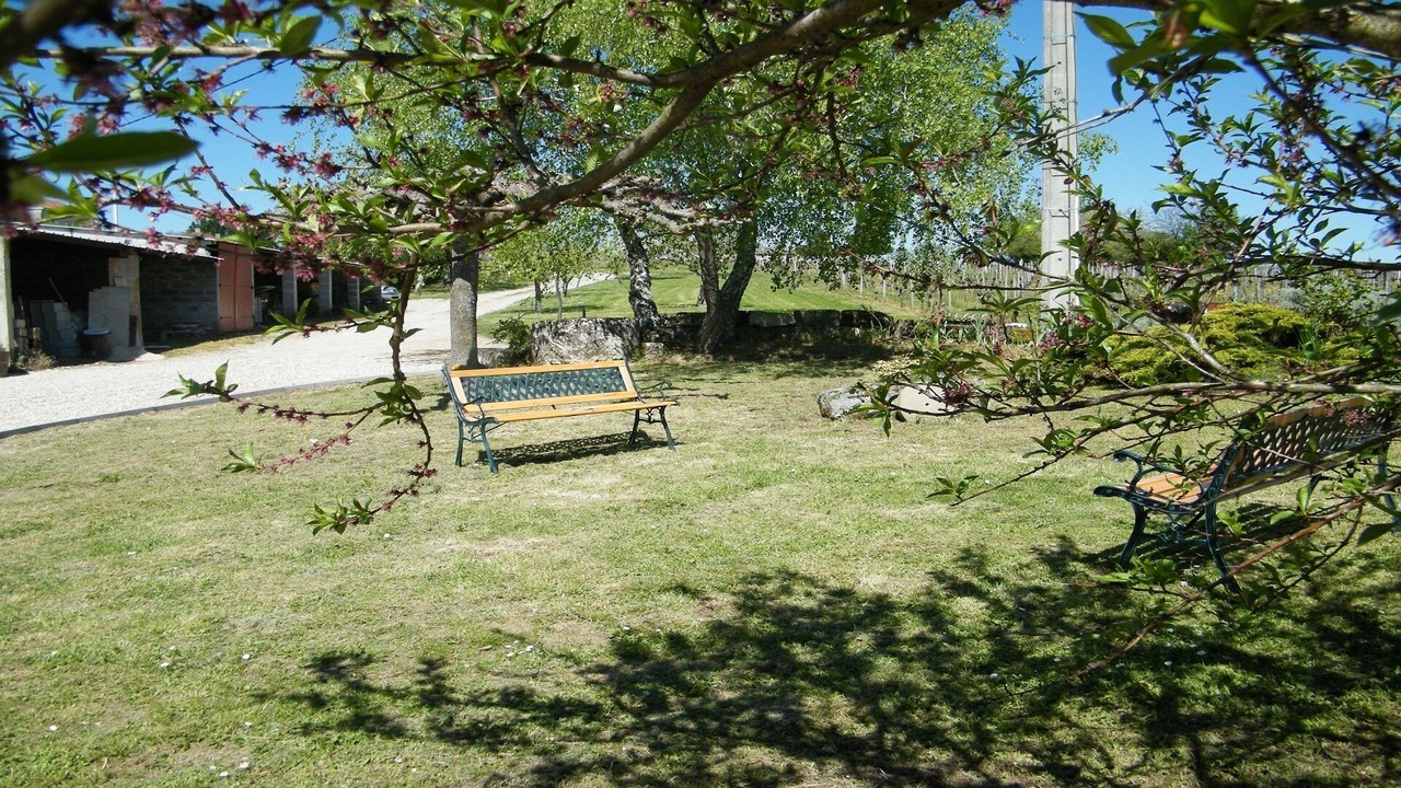 Photo of Outdoor in Puisseguin