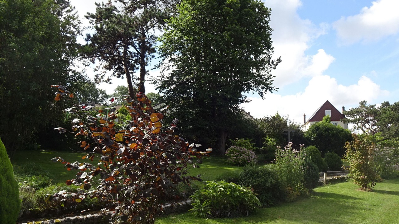 Photo of Outdoor in Saint-Martin-en-Campagne