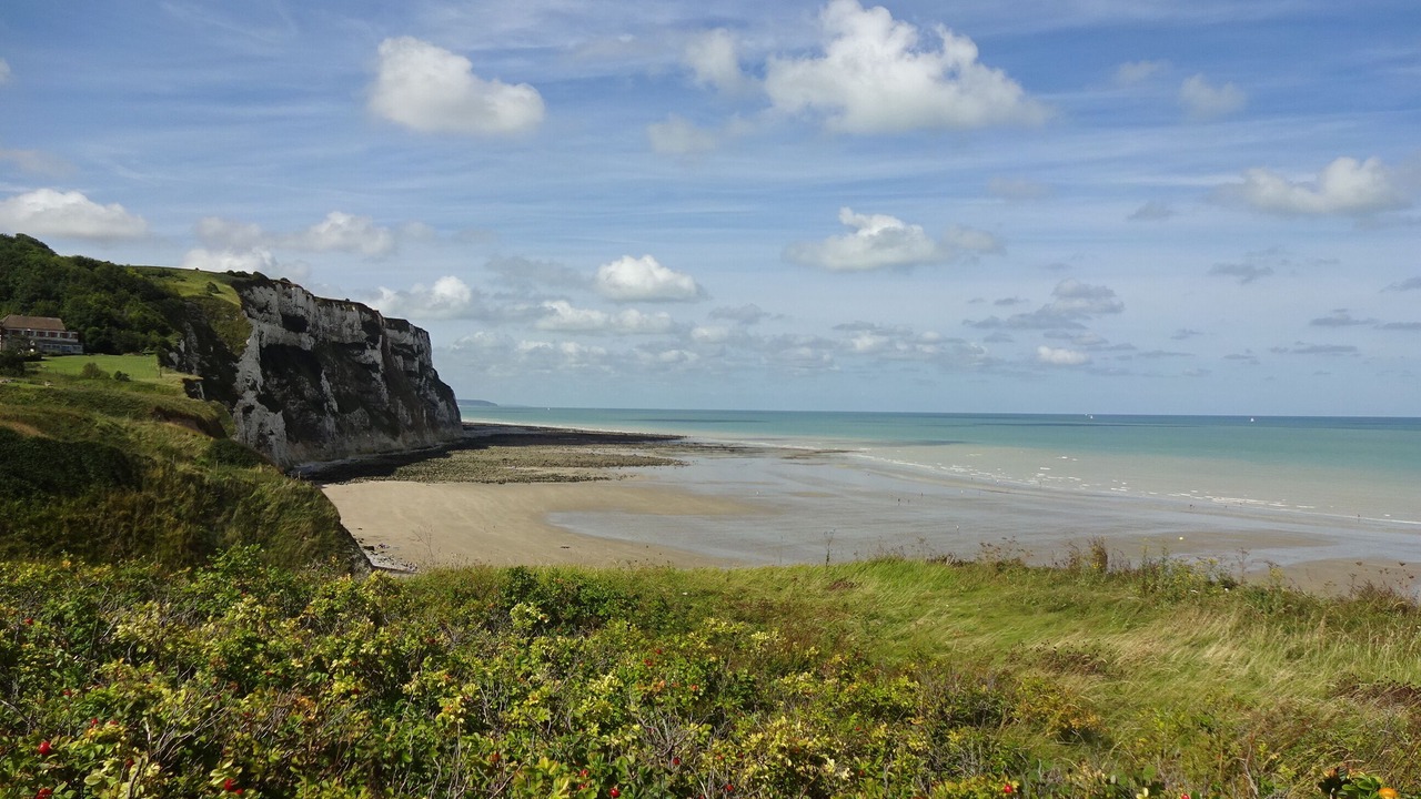Photo of Others in Saint-Martin-en-Campagne