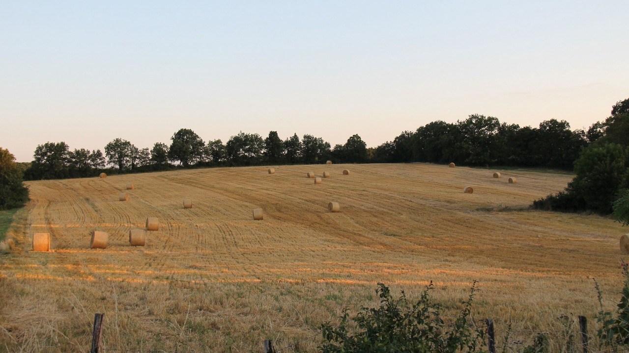 Photo of Others in Villeneuve d'Aveyron