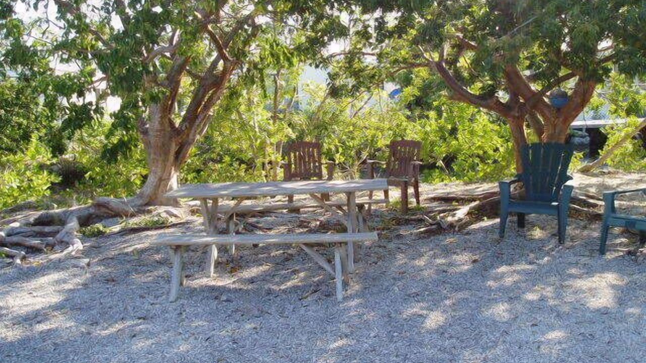 Photo of Outdoor in Little Torch Key