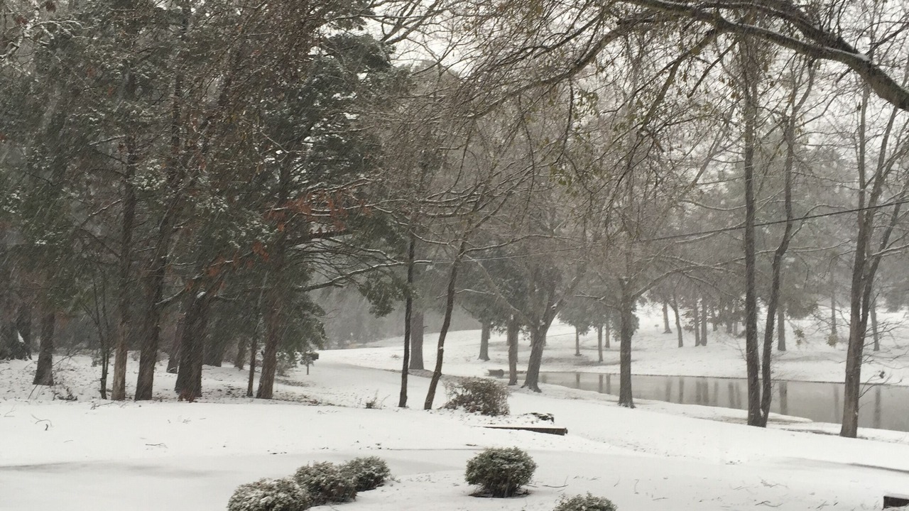 Photo of Outdoor in Starkville