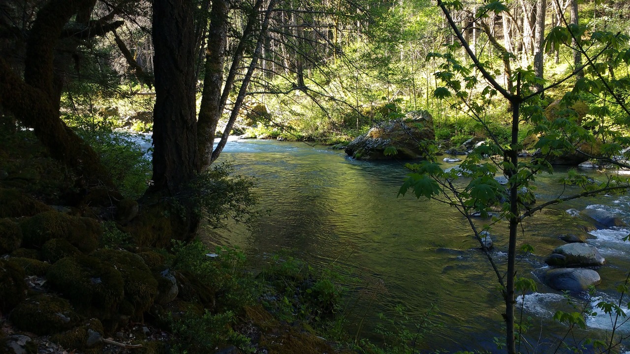 Photo of Others in Siskiyou-Hargadine Historic District