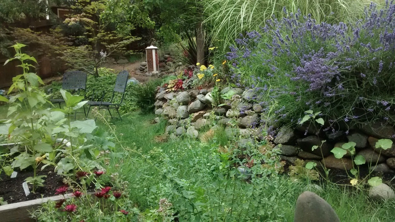 Photo of Outdoor in Siskiyou-Hargadine Historic District