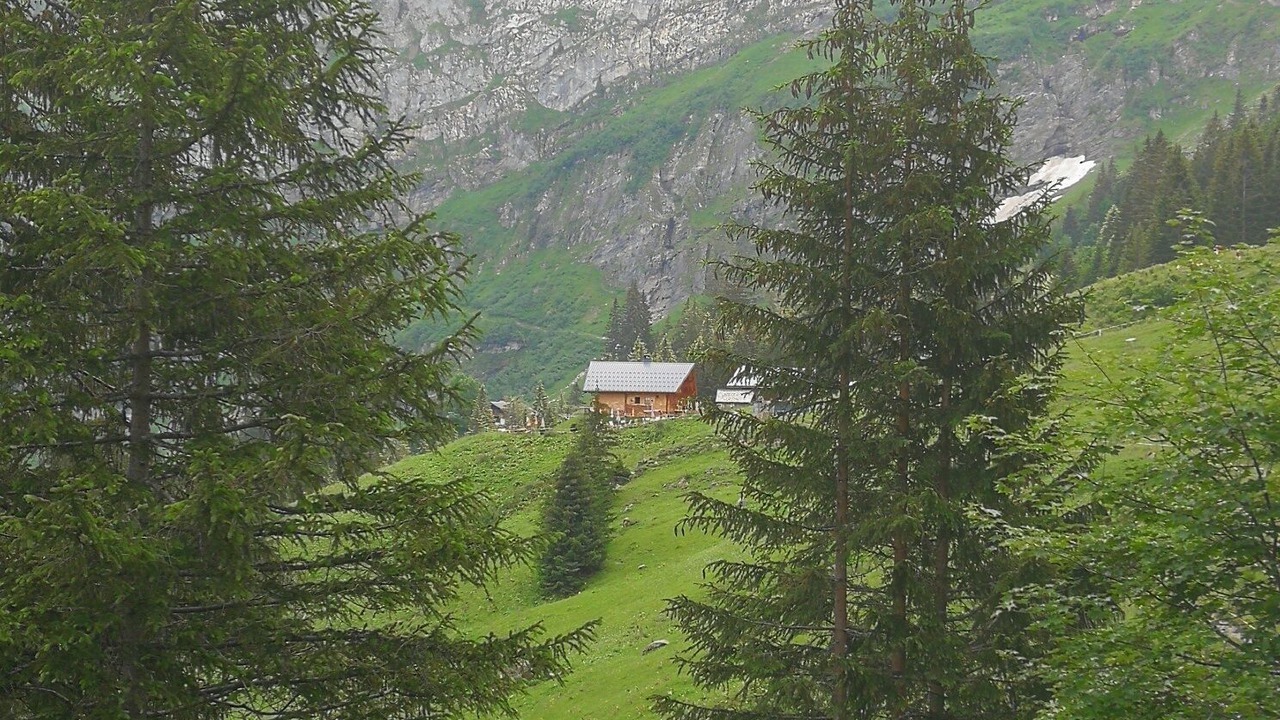 Photo of Others in Champery