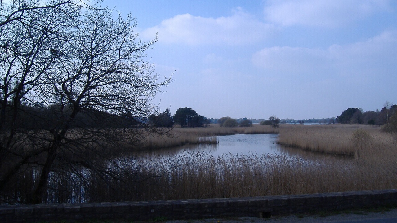 Photo of Others in Locoal-Mendon