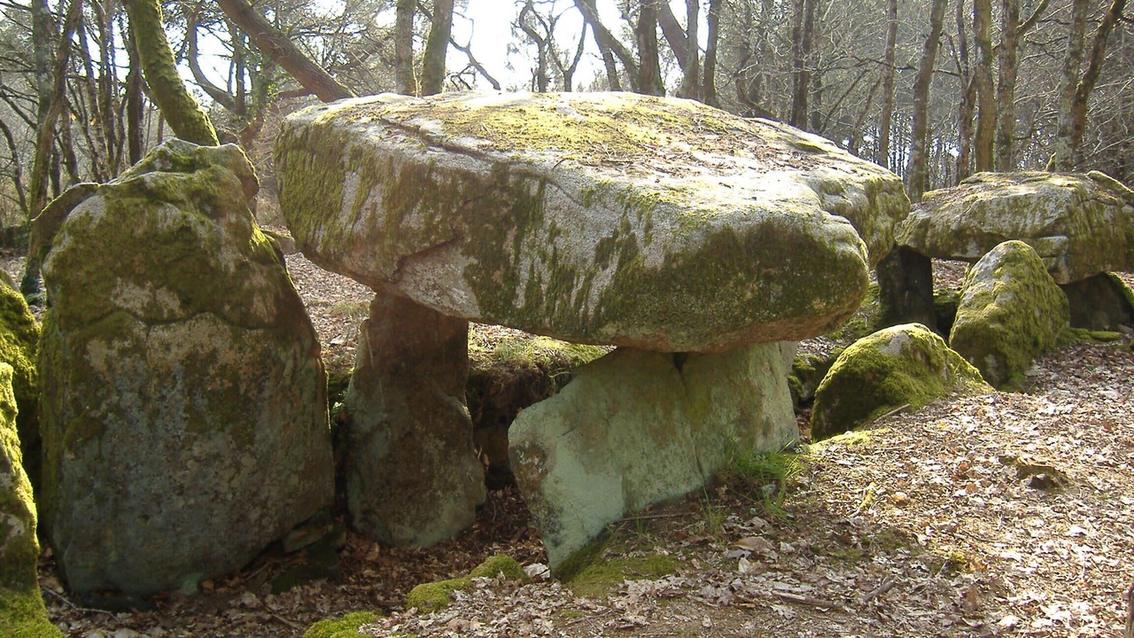 Photo of Outdoor in Locoal-Mendon