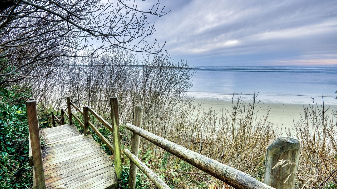 Photo of Others in Netarts