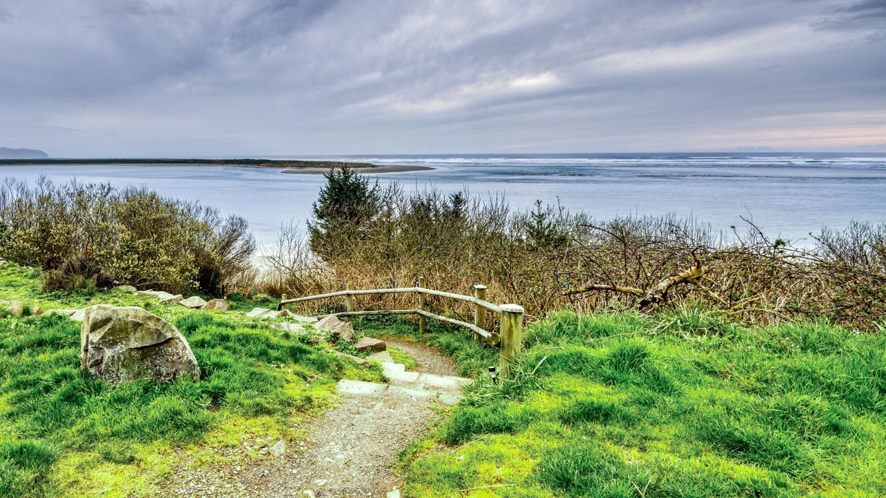 Photo of Others in Netarts