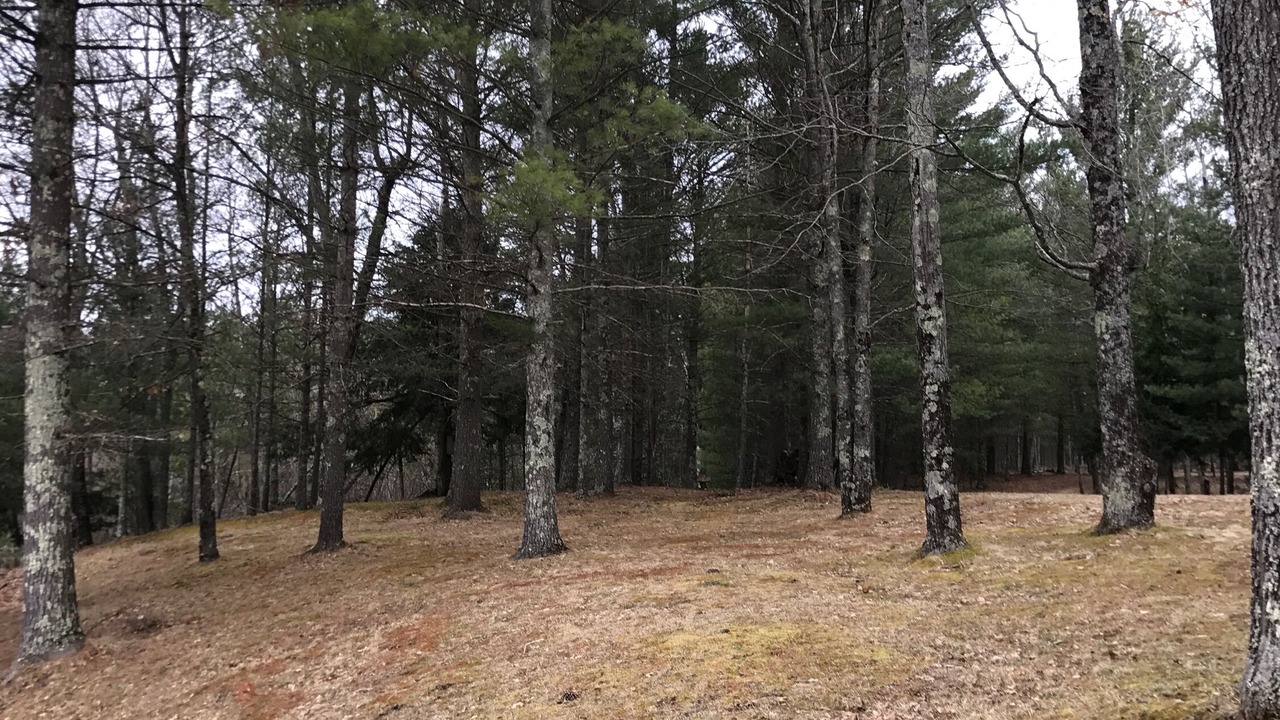Photo of Outdoor in Luther