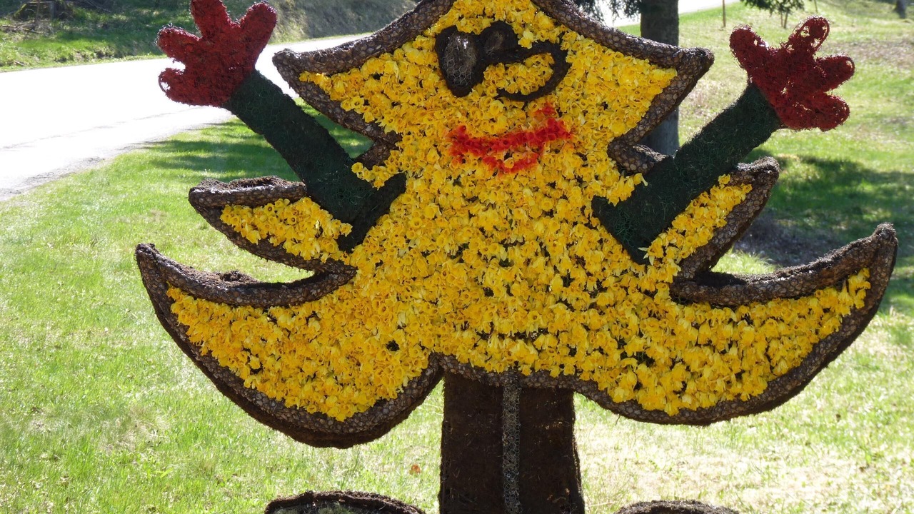 Photo of Outdoor in Gerardmer