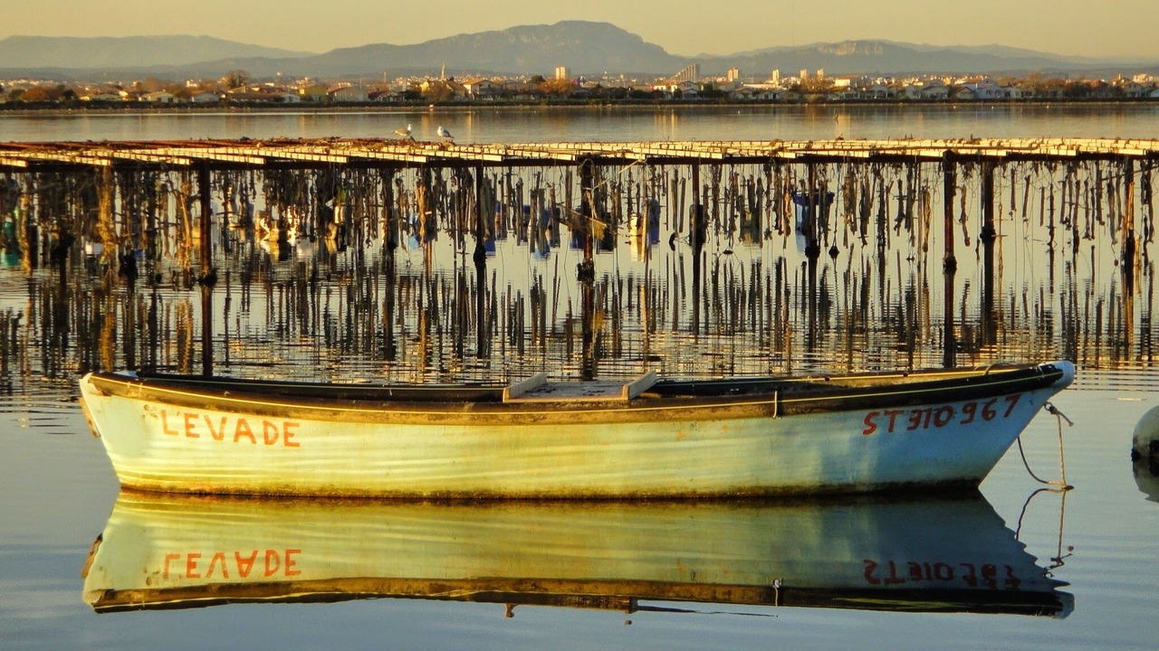 Photo of Outdoor in Palavas-les-Flots
