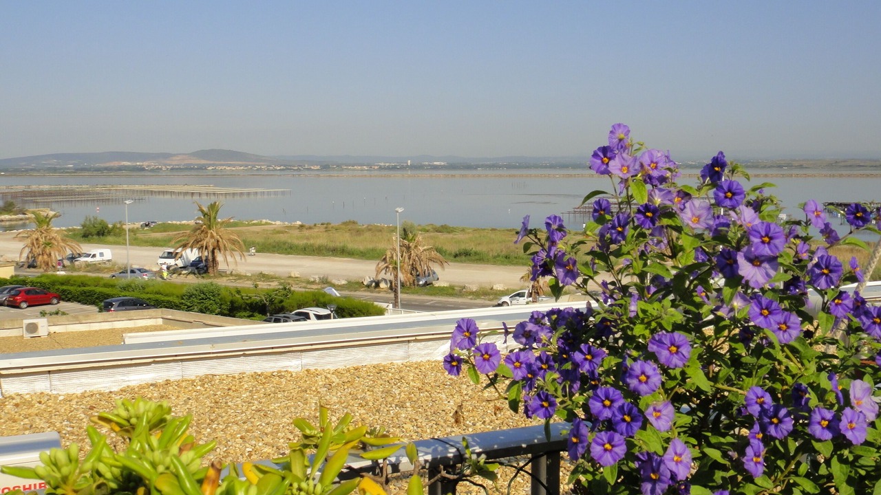 Photo of Others in Palavas-les-Flots