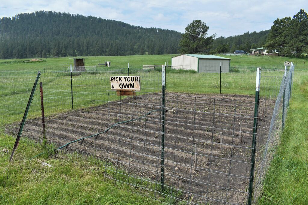 Photo of Others in Custer