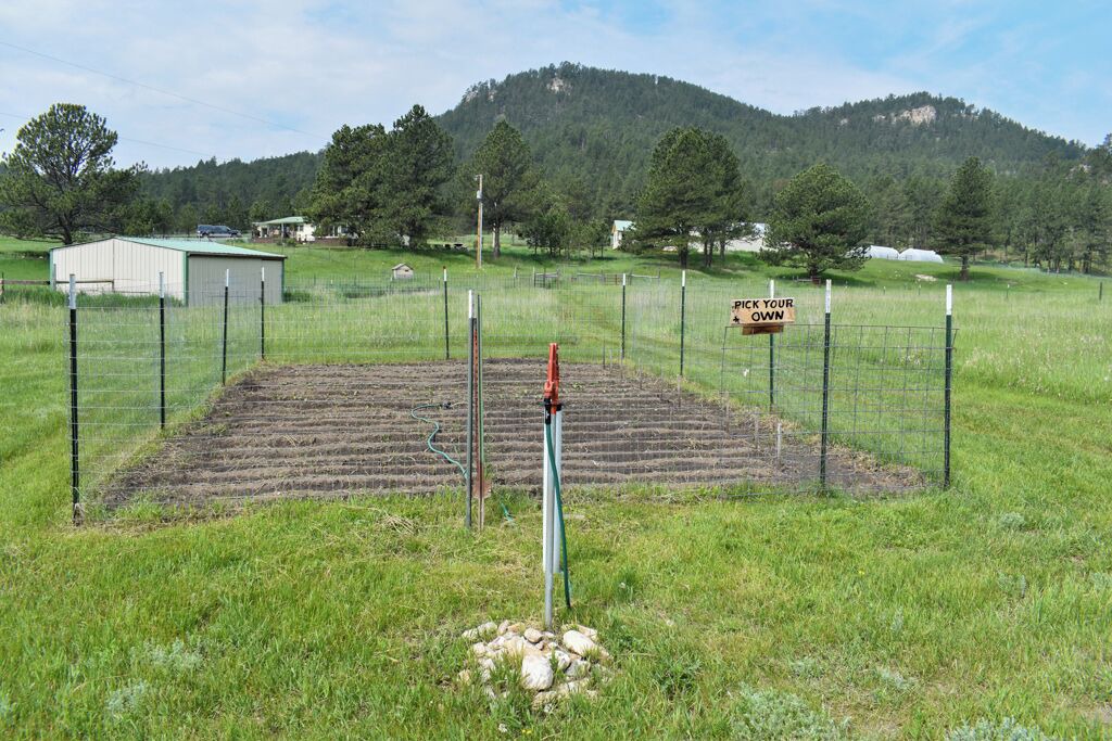 Photo of Others in Custer