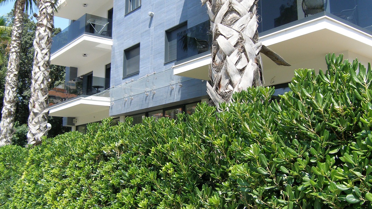 Photo of Outdoor in Lapad
