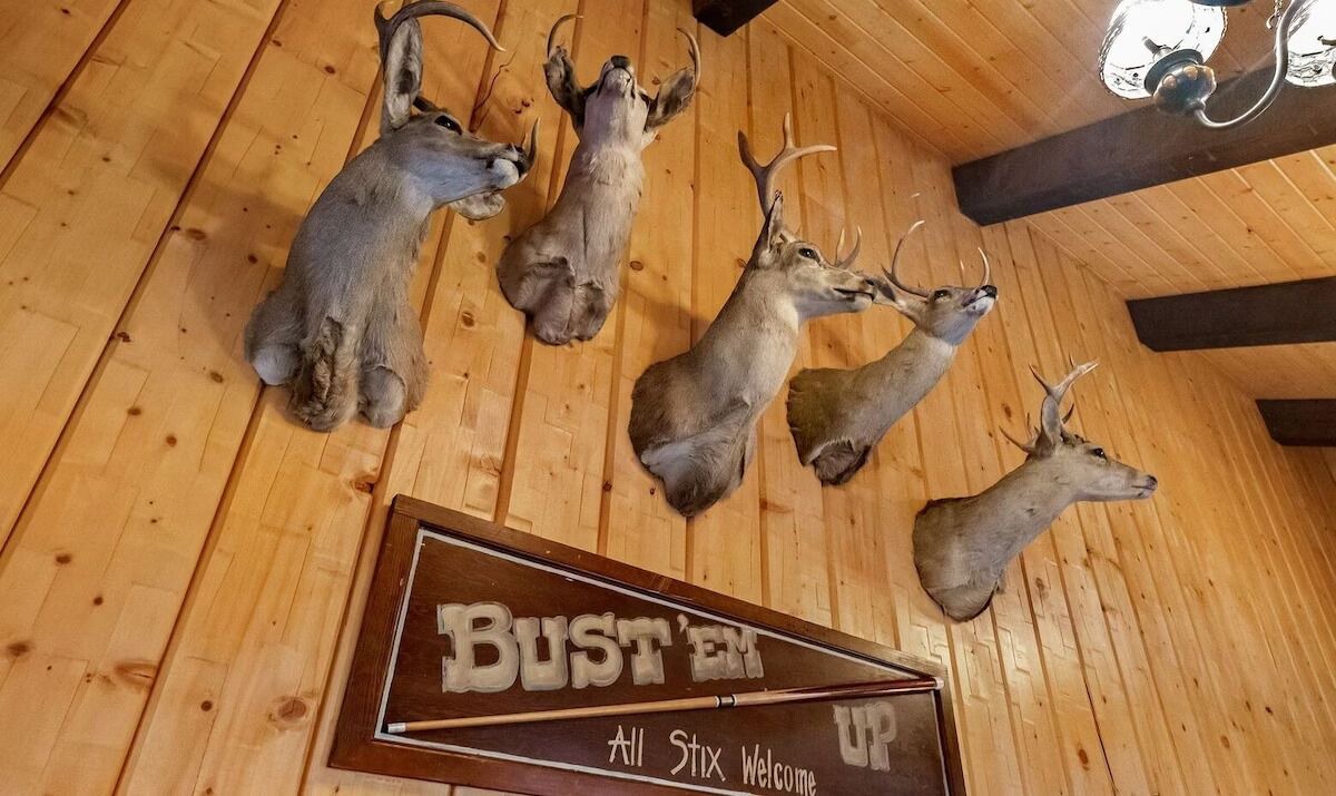 Photo of Others in Eureka Springs