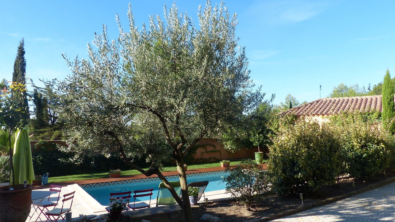 Photo of Outdoor in Grabels