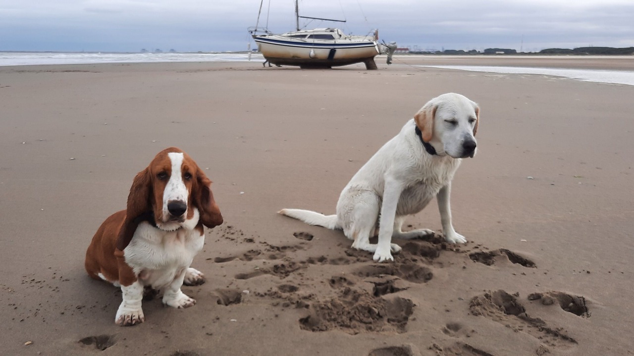 Photo of Others in Petit-Fort-Philippe