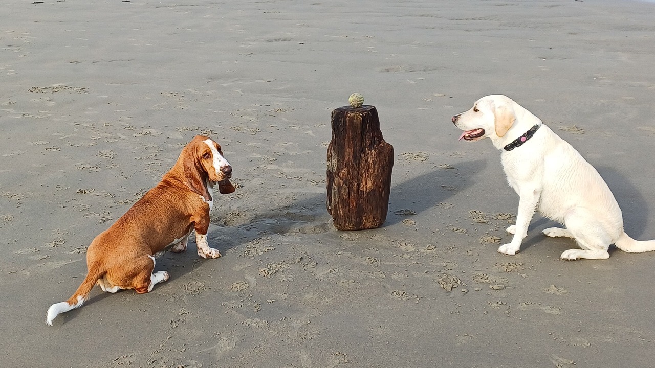 Photo of Others in Petit-Fort-Philippe