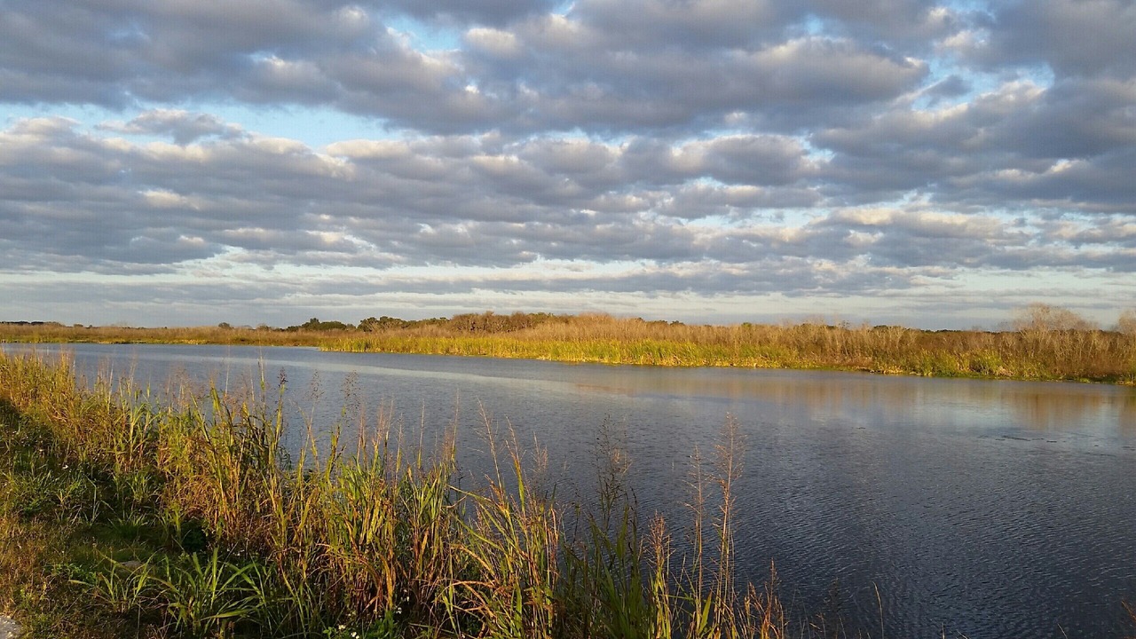 Photo of Outdoor in Eustis