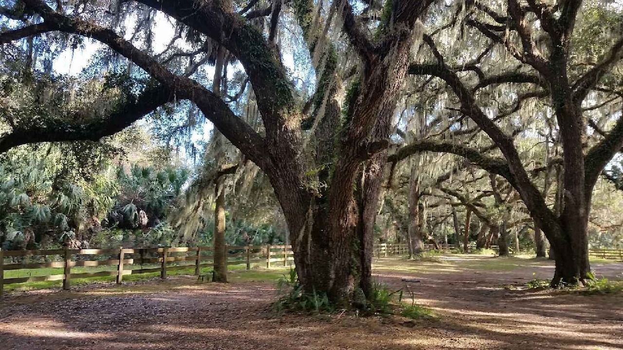 Photo of Outdoor in Eustis