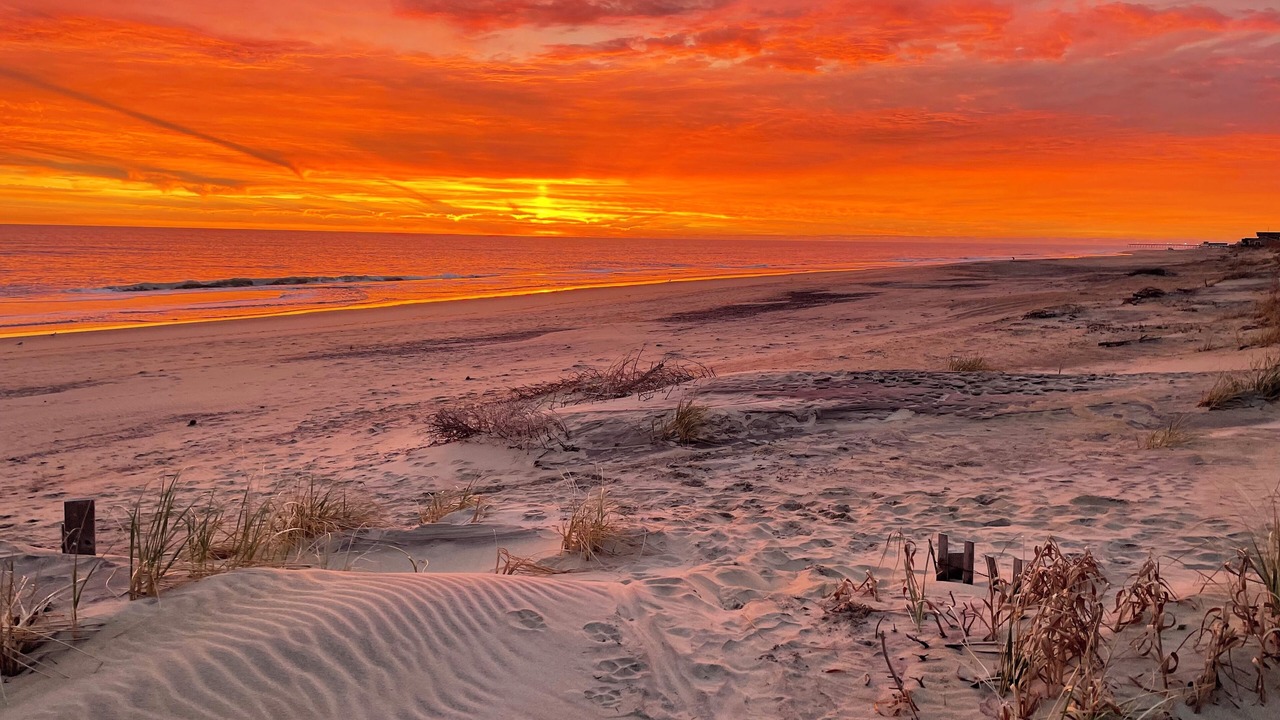 Photo of Others in Kitty Hawk