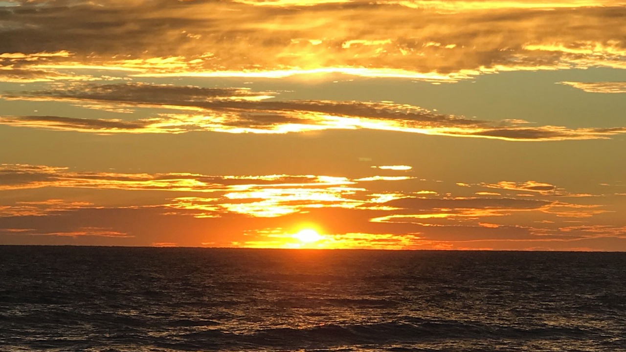 Photo of Others in Kitty Hawk