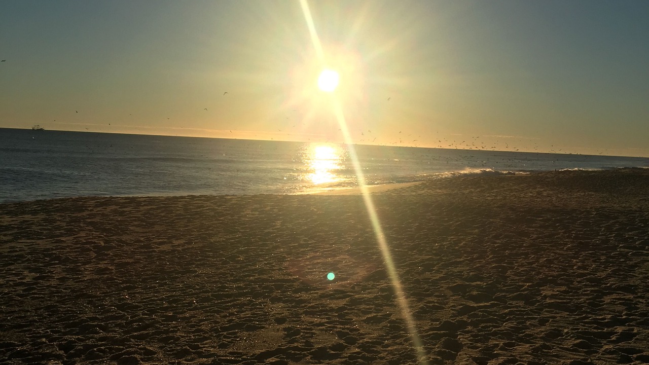 Photo of Others in Kitty Hawk