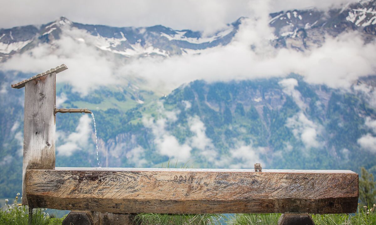 Photo of Others in Axalp