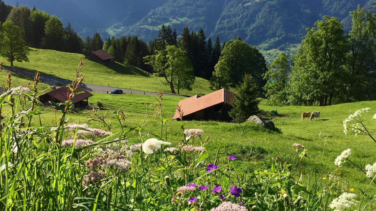 Photo of Others in Axalp