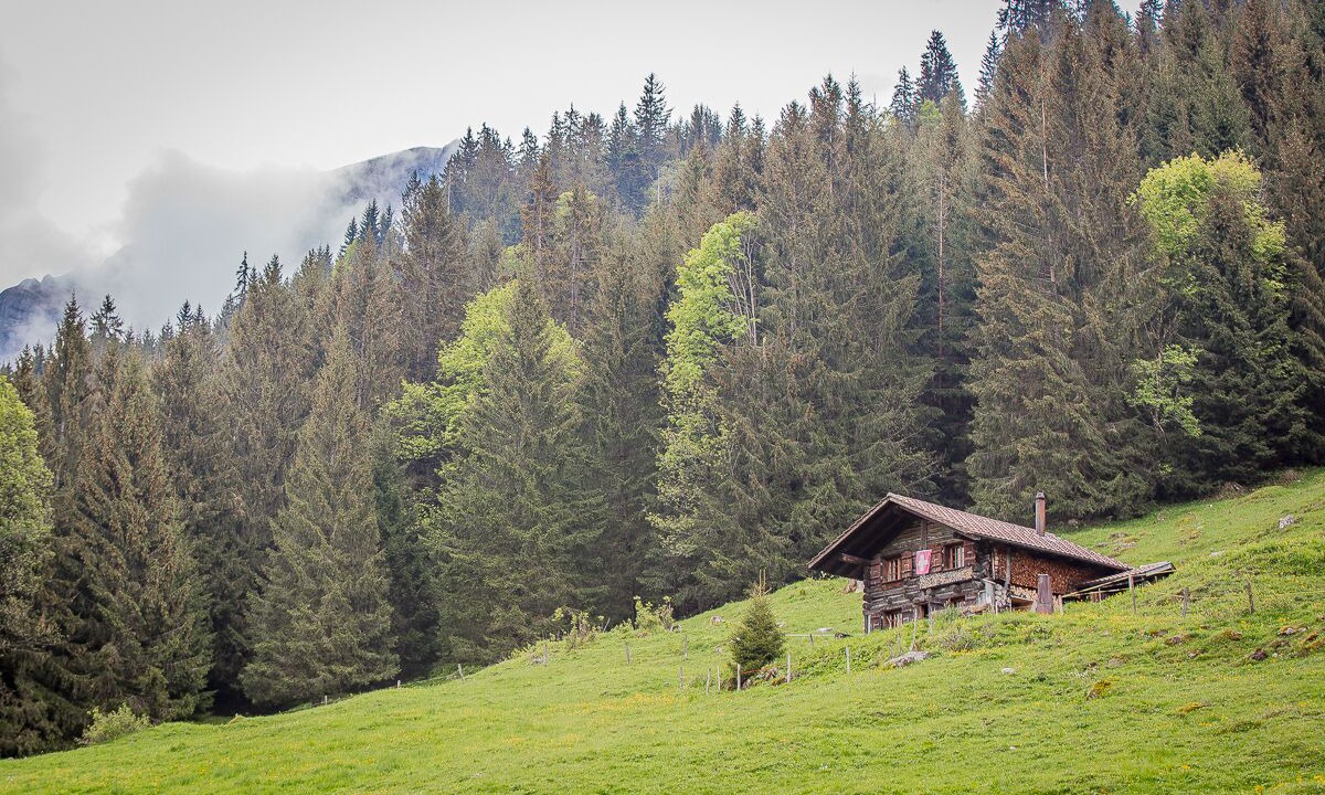 Photo of Outdoor in Axalp