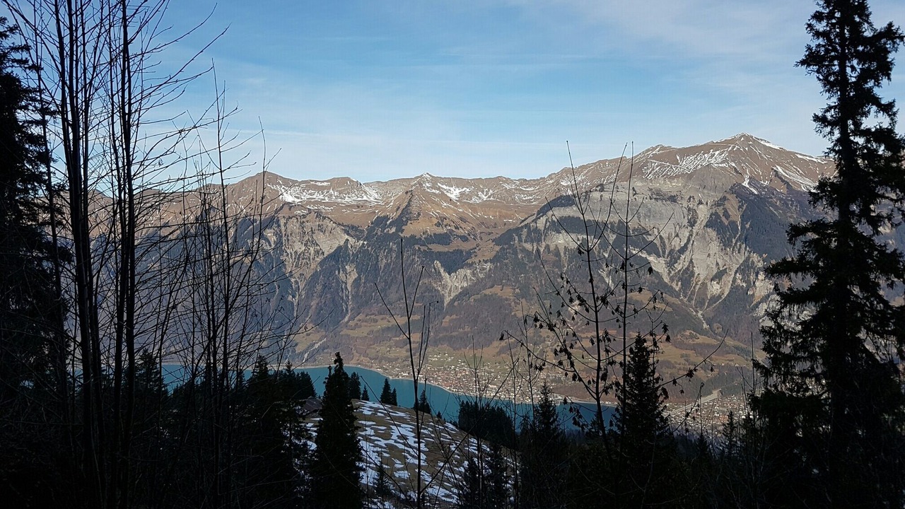 Photo of Others in Axalp