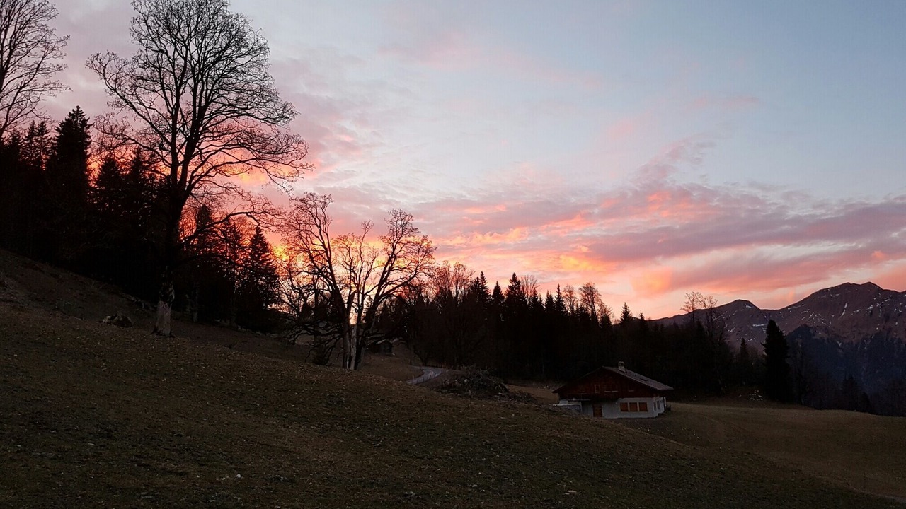 Photo of Outdoor in Axalp