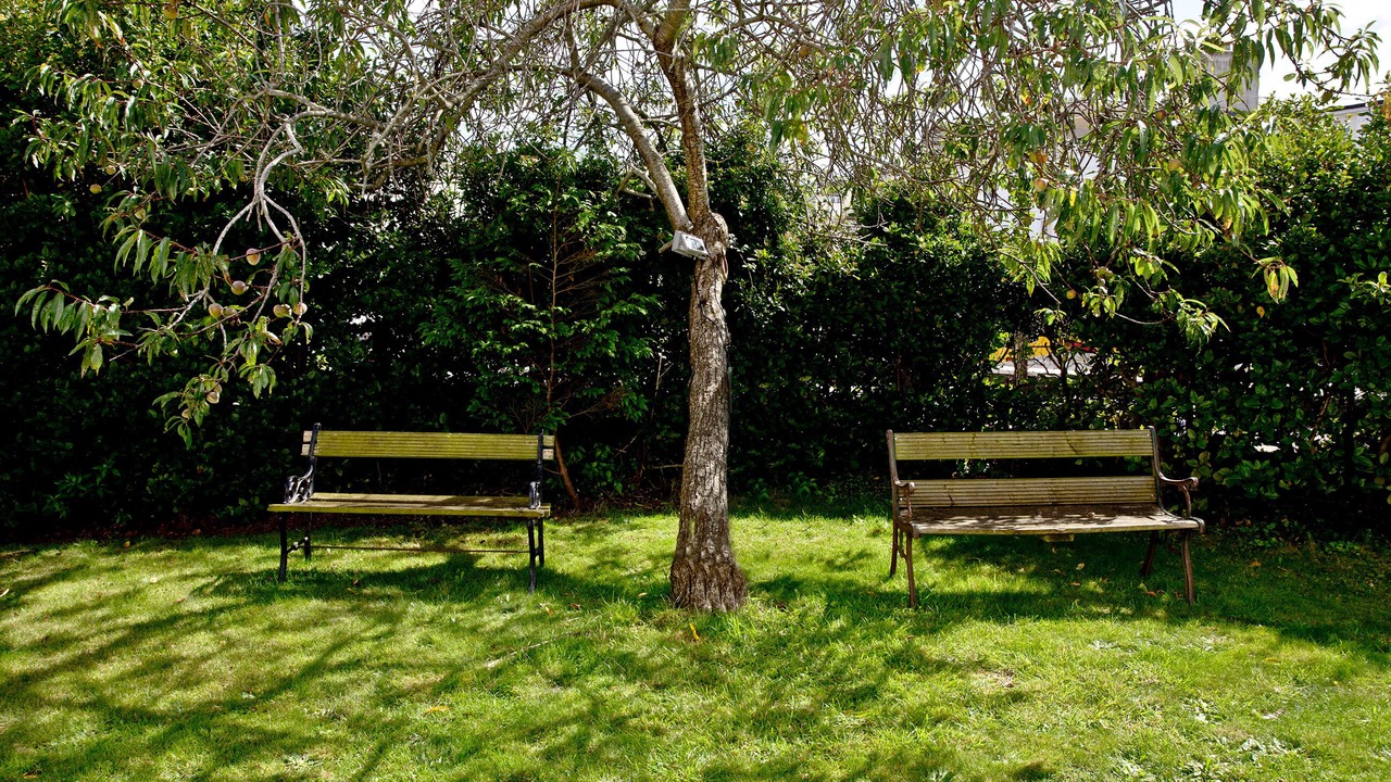 Photo of Outdoor in Torquay City Centre