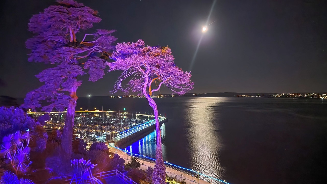 Photo of Others in Torquay City Centre