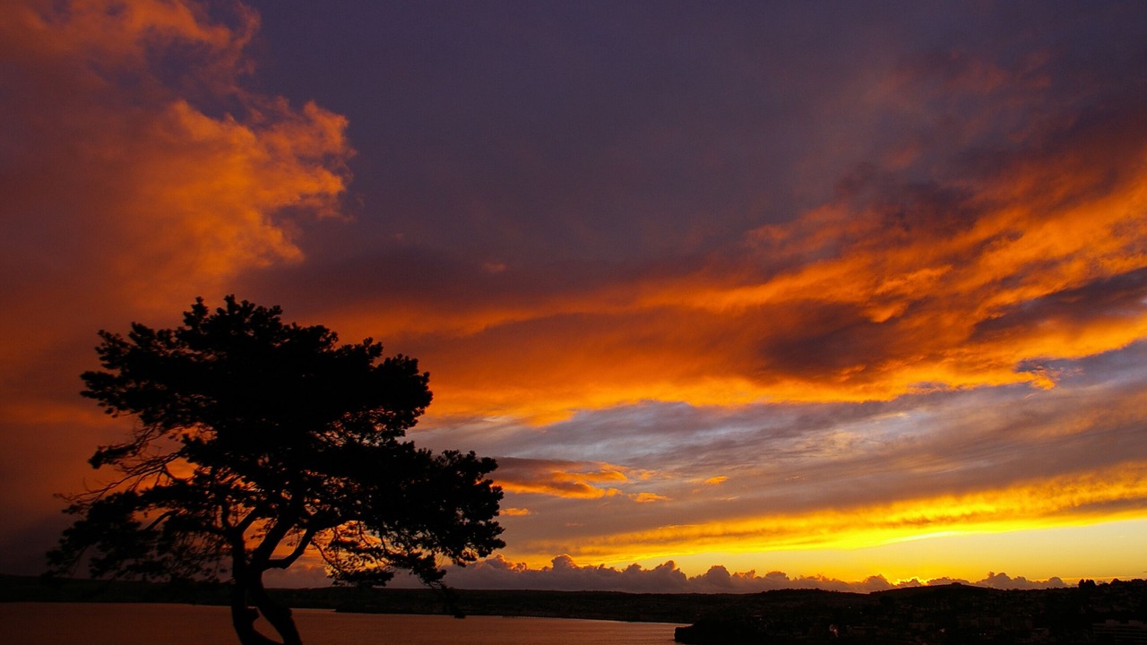Photo of Others in Torquay City Centre