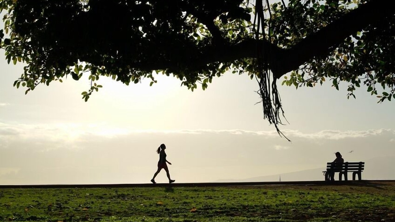 Photo of Outdoor in Ala Moana