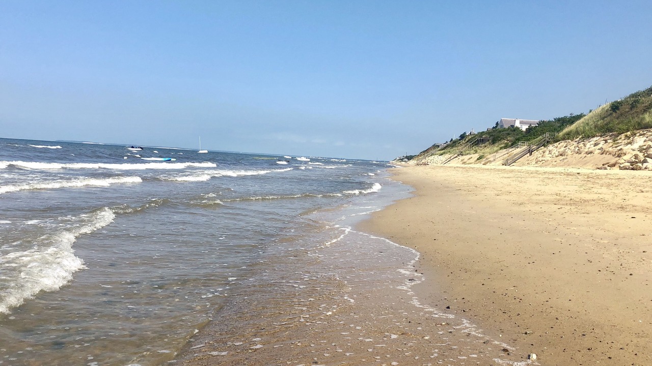 Photo of Others in North Eastham