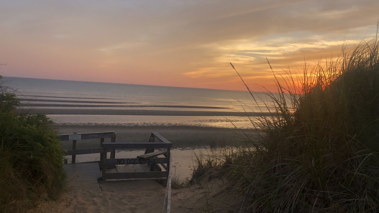 Photo of Others in North Eastham