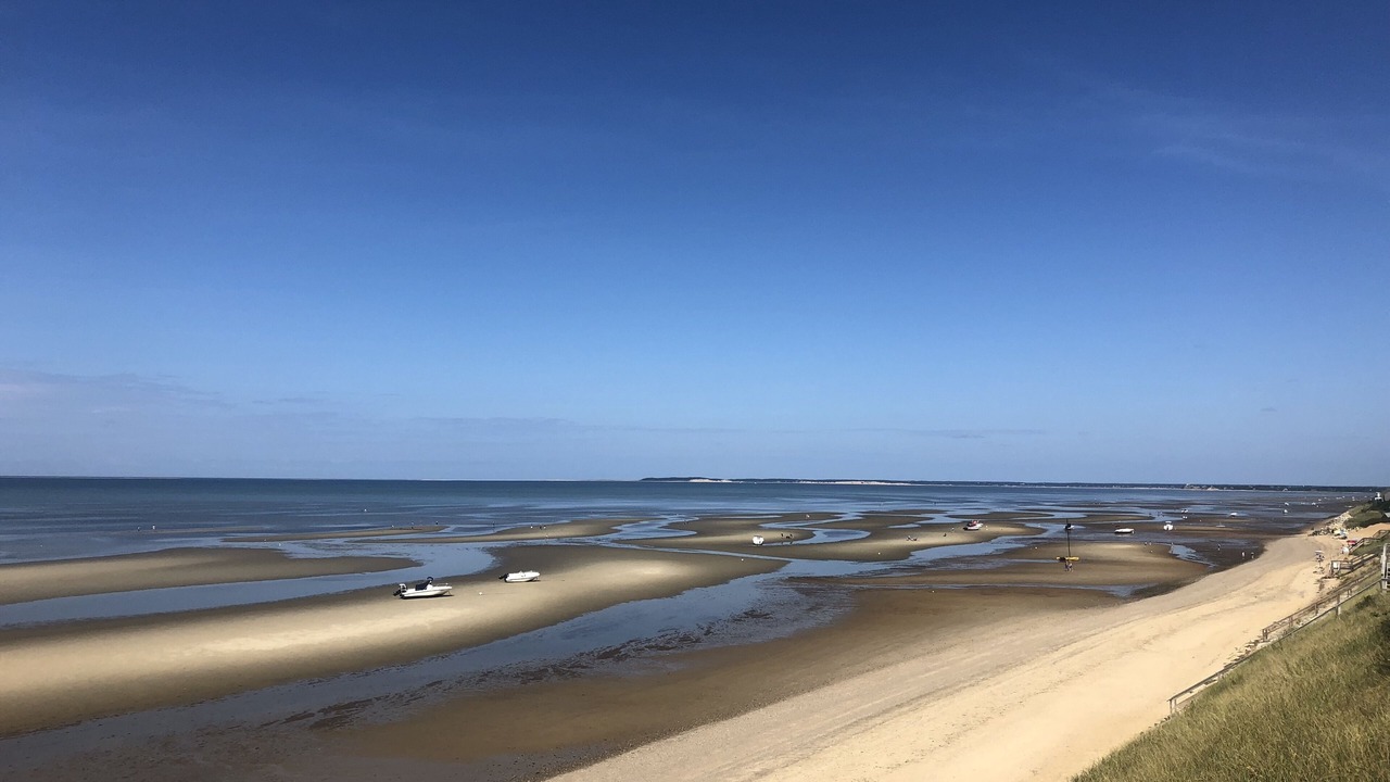 Photo of Others in North Eastham