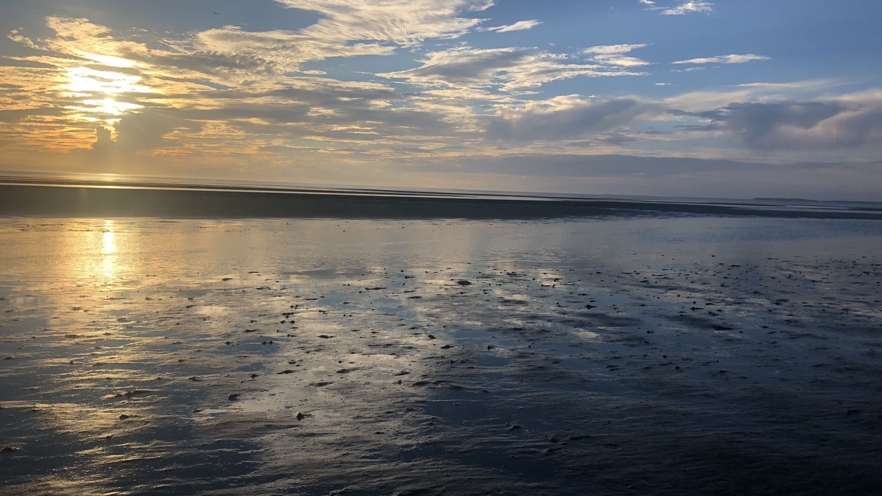 Photo of Others in North Eastham