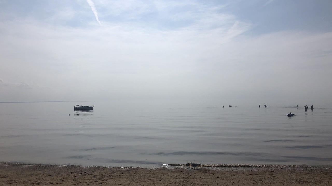 Photo of Others in North Eastham