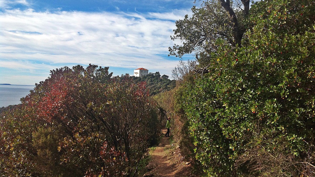 Photo of Outdoor in Cavaliere