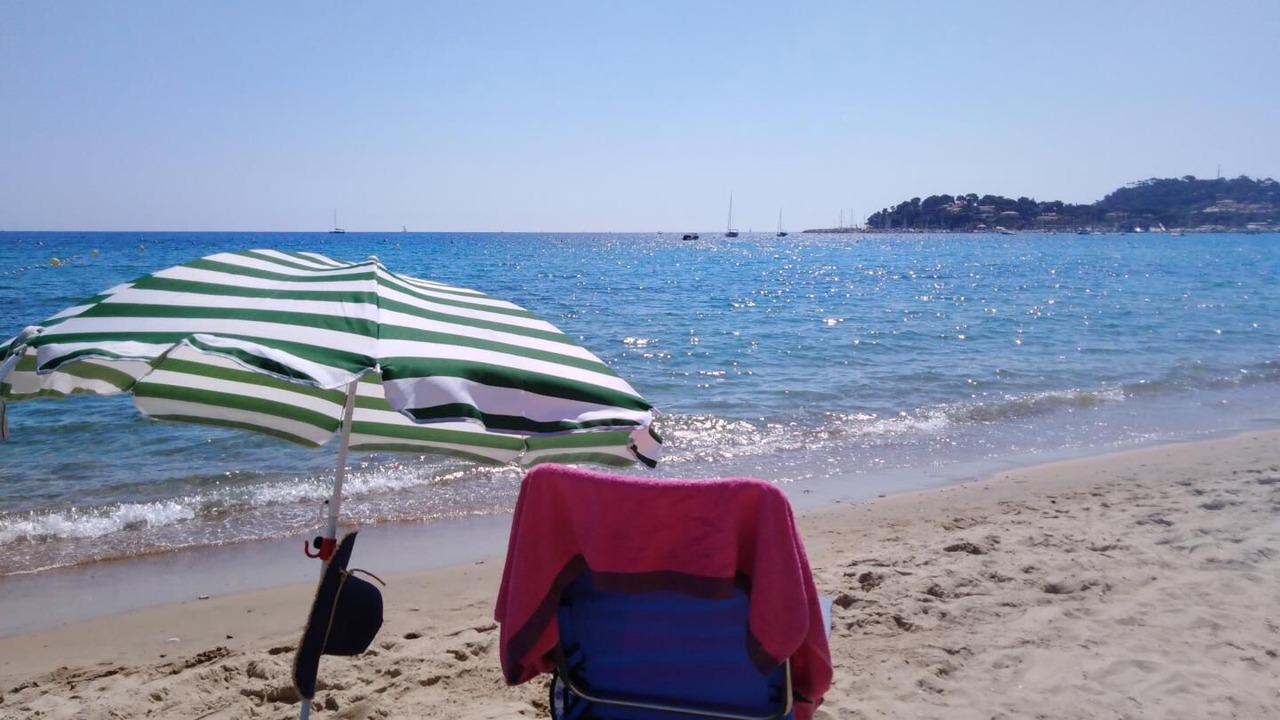 Photo of Others in Cavaliere