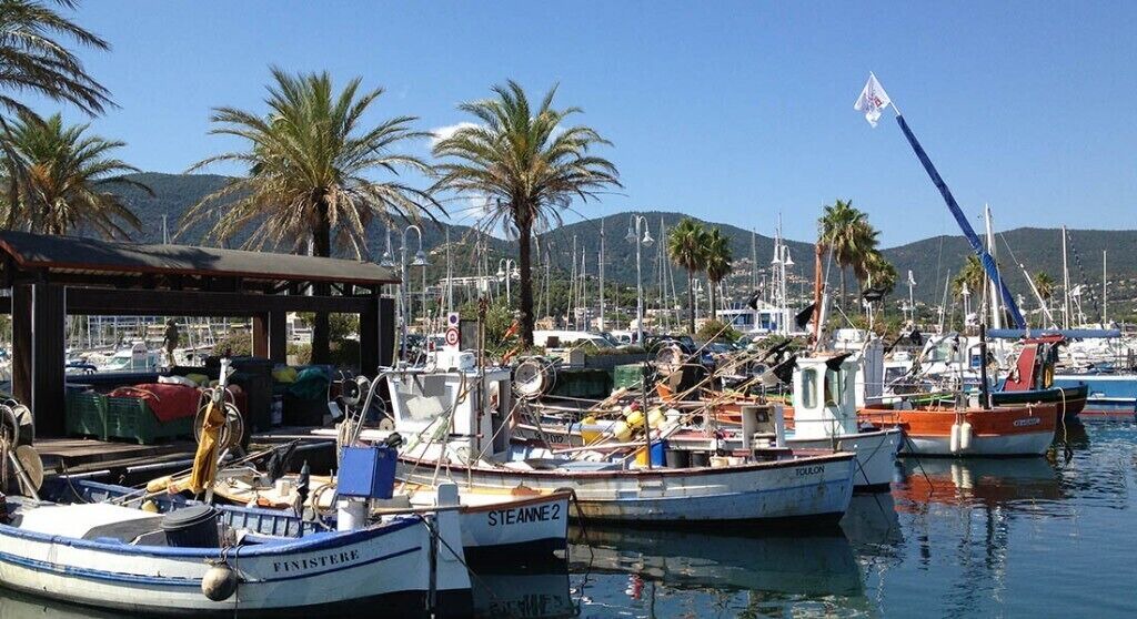 Photo of Others in Cavaliere