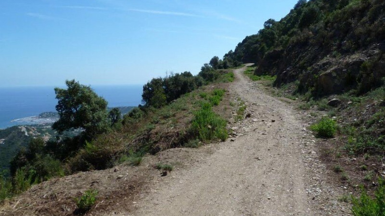 Photo of Others in Cavaliere